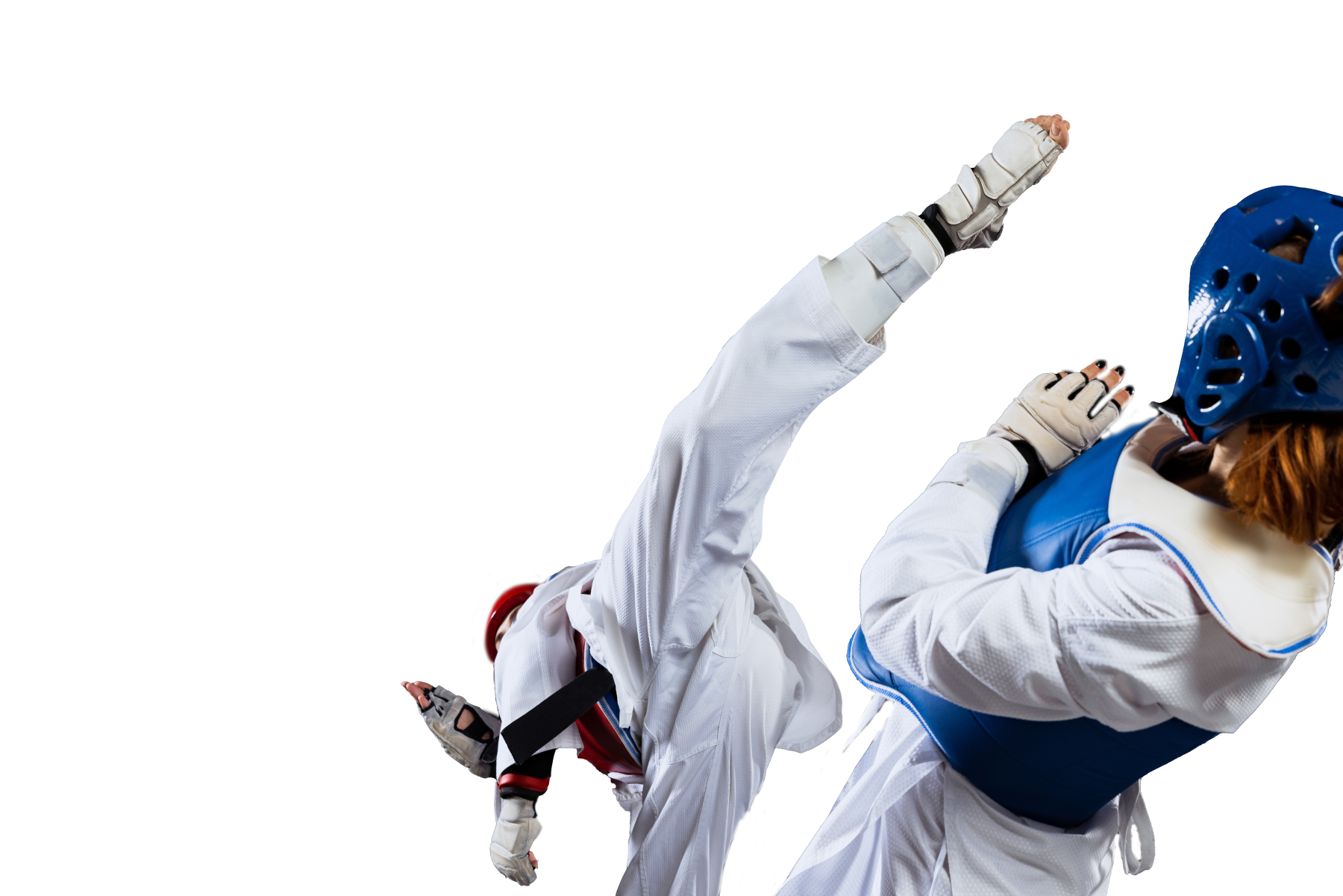 Taekwondo fighters